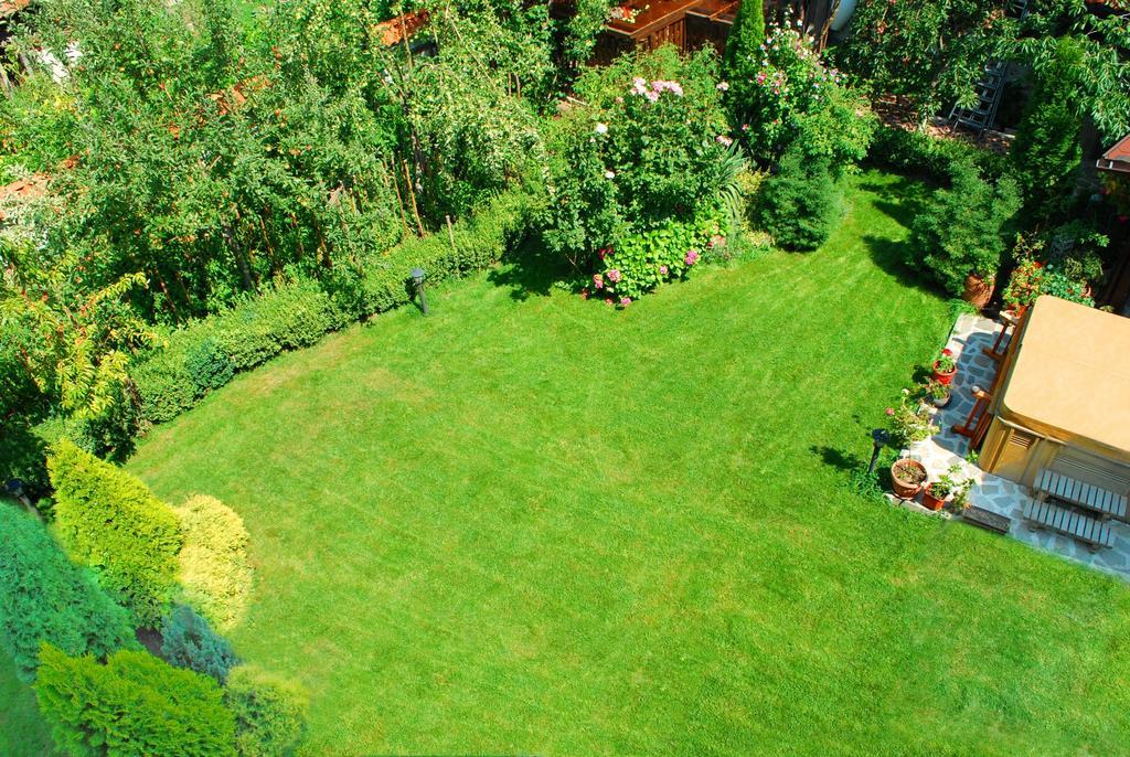 Guest House Chicho Tsane Bansko Zewnętrze zdjęcie
